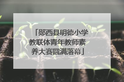 郧西县明德小学教联体青年教师素养大赛圆满落幕