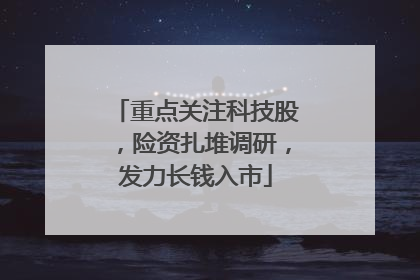 重点关注科技股，险资扎堆调研，发力长钱入市
