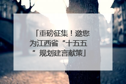 重磅征集！邀您为江西省“十五五”规划建言献策