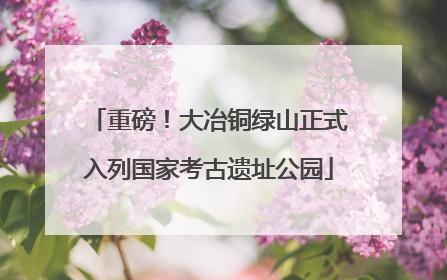 重磅！大冶铜绿山正式入列国家考古遗址公园