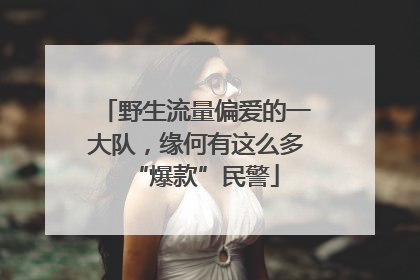 野生流量偏爱的一大队，缘何有这么多“爆款”民警