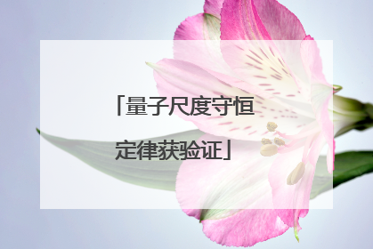 量子尺度守恒定律获验证