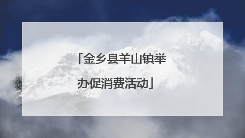 金乡县羊山镇举办促消费活动