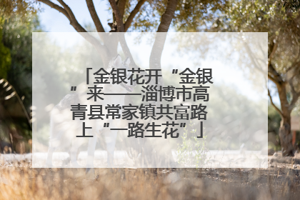 金银花开“金银”来——淄博市高青县常家镇共富路上“一路生花”