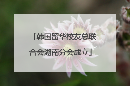 韩国留华校友总联合会湖南分会成立