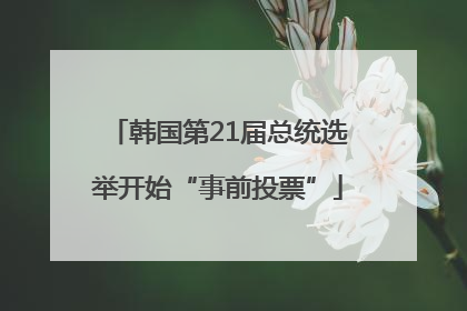 韩国第21届总统选举开始“事前投票”