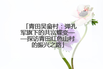 青田吴畲村：弹孔军旗下的共富蝶变——探访青田红色山村的振兴之路