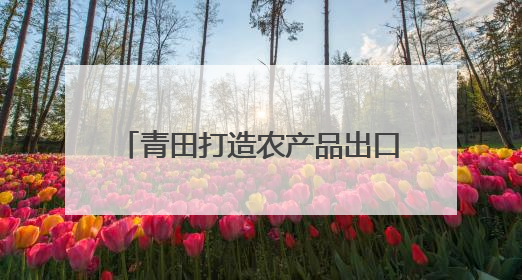青田打造农产品出口展销平台 以侨为桥，浙农优品越洋出海