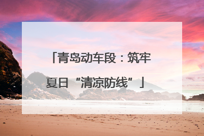 青岛动车段：筑牢夏日“清凉防线”