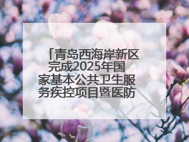 青岛西海岸新区完成2025年国家基本公共卫生服务疾控项目暨医防融合督导工作