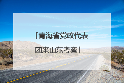 青海省党政代表团来山东考察