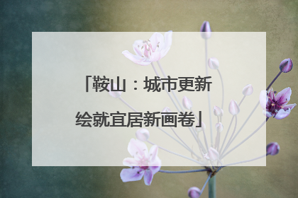 鞍山：城市更新绘就宜居新画卷
