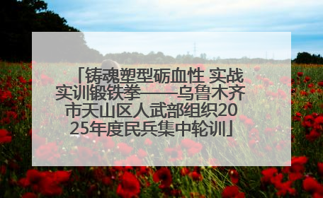 铸魂塑型砺血性 实战实训锻铁拳——乌鲁木齐市天山区人武部组织2025年度民兵集中轮训