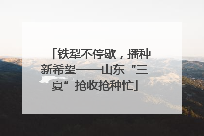 铁犁不停歇，播种新希望——山东“三夏”抢收抢种忙