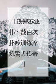 铁警苏亚伟：数百次扑咬训练淬炼警犬传奇