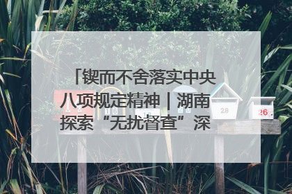 锲而不舍落实中央八项规定精神｜湖南探索“无扰督查”深化基层减负