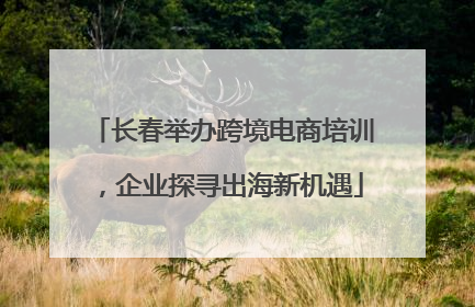 长春举办跨境电商培训，企业探寻出海新机遇