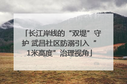 长江岸线的“双堤”守护 武昌社区防溺引入“1米高度”治理视角
