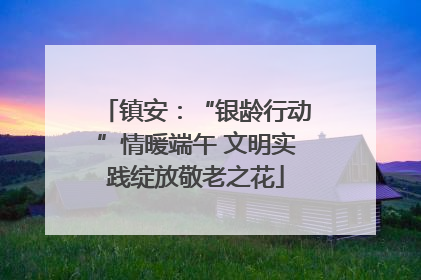 镇安：“银龄行动”情暖端午 文明实践绽放敬老之花