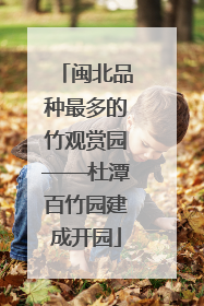 闽北品种最多的竹观赏园——杜潭百竹园建成开园