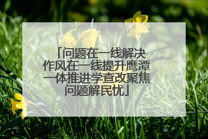 问题在一线解决 作风在一线提升鹰潭一体推进学查改聚焦问题解民忧