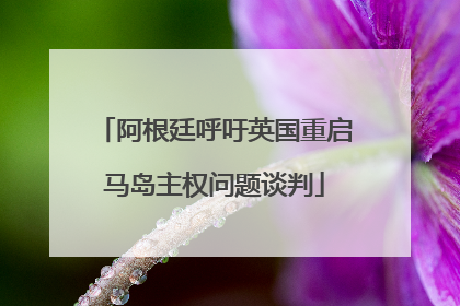 阿根廷呼吁英国重启马岛主权问题谈判