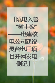 陇电入鲁“树丰碑”——电建核电公司建设灵台电厂项目并网发电侧记