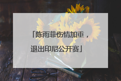 陈雨菲伤情加重，退出印尼公开赛