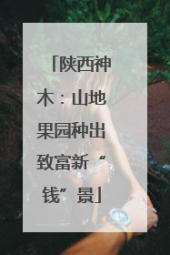 陕西神木：山地果园种出致富新“钱”景