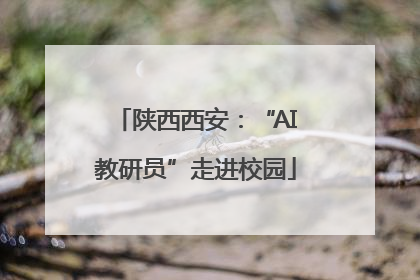 陕西西安：“AI教研员”走进校园
