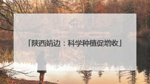 陕西靖边：科学种植促增收