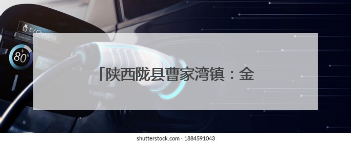 陕西陇县曹家湾镇：金色麦田里的“志愿红”
