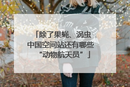 除了果蝇、涡虫 中国空间站还有哪些“动物航天员”