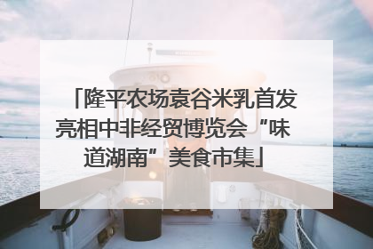 隆平农场袁谷米乳首发亮相中非经贸博览会“味道湖南”美食市集