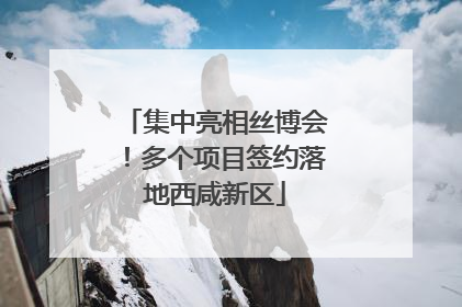 集中亮相丝博会！多个项目签约落地西咸新区