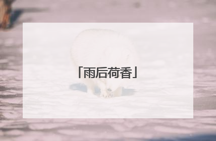 雨后荷香