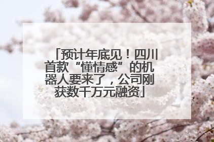 预计年底见！四川首款“懂情感”的机器人要来了，公司刚获数千万元融资
