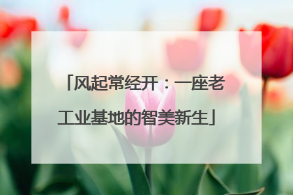 风起常经开：一座老工业基地的智美新生