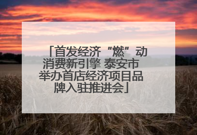 首发经济“燃”动消费新引擎 泰安市举办首店经济项目品牌入驻推进会