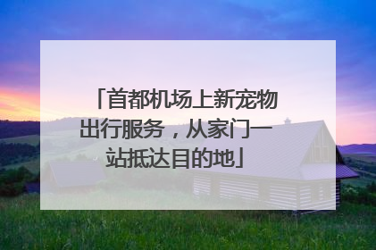首都机场上新宠物出行服务，从家门一站抵达目的地