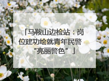 马鞍山边检站：岗位建功绘就青年民警“亮丽警色”