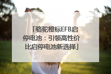 骆驼橙标EFB启停电池：引领高性价比启停电池新选择