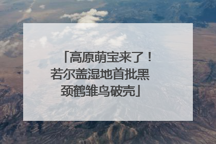高原萌宝来了！若尔盖湿地首批黑颈鹤雏鸟破壳