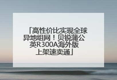 高性价比实现全球异地组网！贝锐蒲公英R300A海外版上架速卖通