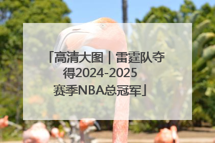 高清大图｜雷霆队夺得2024-2025赛季NBA总冠军