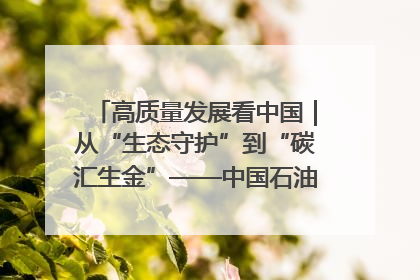 高质量发展看中国｜从“生态守护”到“碳汇生金”——中国石油大庆油田绿色蝶变