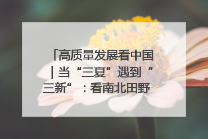 高质量发展看中国｜当“三夏”遇到“三新”：看南北田野里的科技共生记