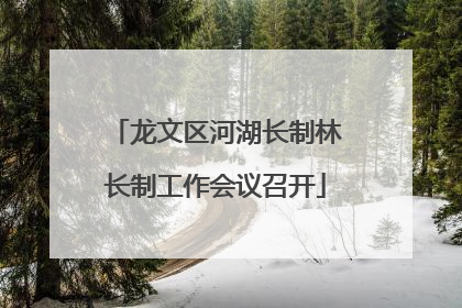龙文区河湖长制林长制工作会议召开