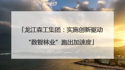 龙江森工集团：实施创新驱动 “数智林业”跑出加速度