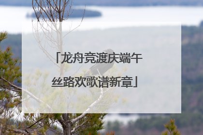 龙舟竞渡庆端午 丝路欢歌谱新章